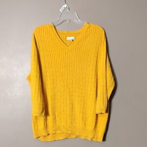 Kim Rogers Dark Gold Braid Patterned Sweater Size 1X
